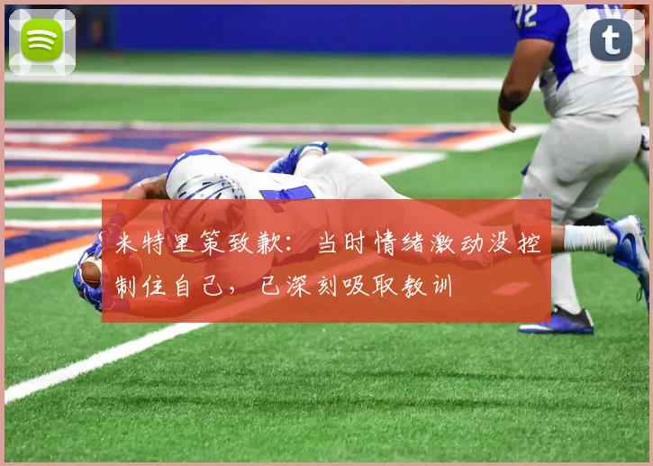 米特里策致歉：当时情绪激动没控制住自己，已深刻吸取教训